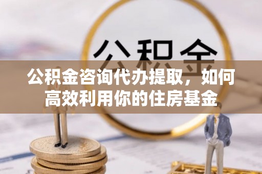 元氏公积金咨询代办提取，如何高效利用你的住房基金