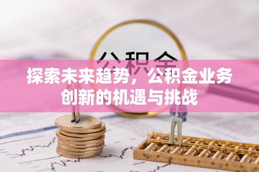 元氏探索未来趋势，公积金业务创新的机遇与挑战