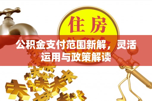 元氏公积金支付范围新解，灵活运用与政策解读