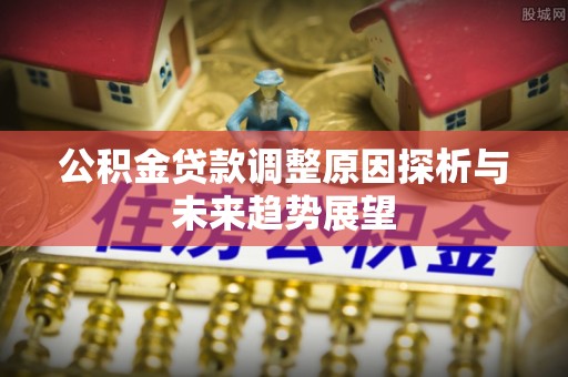 元氏公积金贷款调整原因探析与未来趋势展望