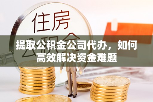 元氏提取公积金公司代办，如何高效解决资金难题