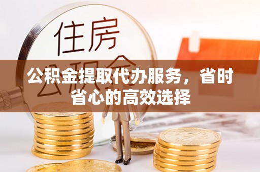 元氏公积金提取代办服务，省时省心的高效选择