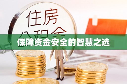 元氏保障资金安全的智慧之选