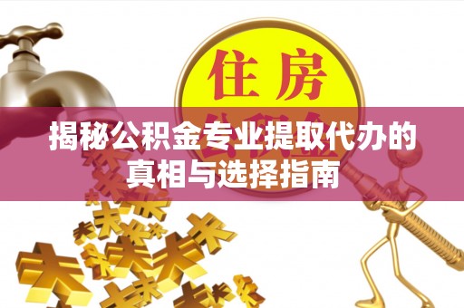 元氏揭秘公积金专业提取代办的真相与选择指南