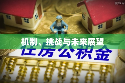 元氏机制、挑战与未来展望